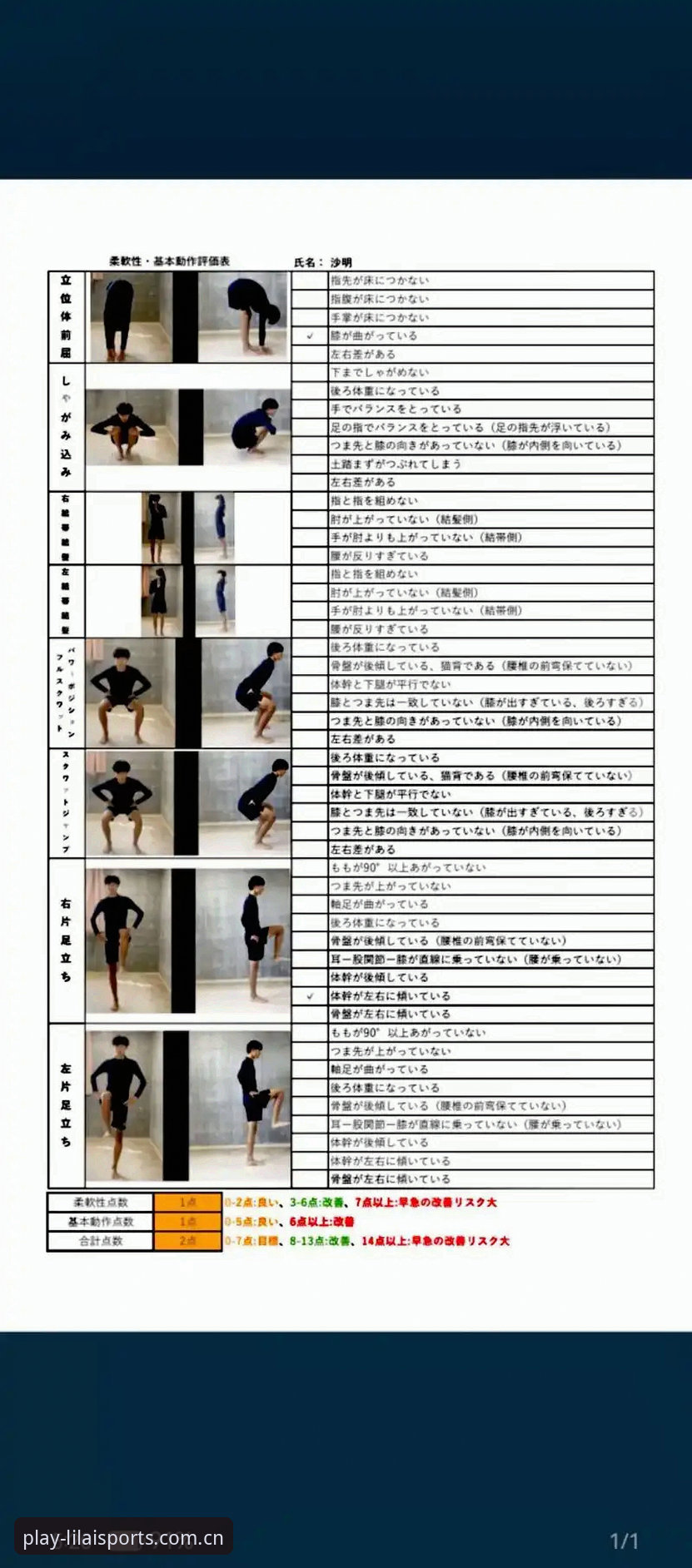 资深体育迷亲测：利来口碑手机版使用心得与实战经验分享